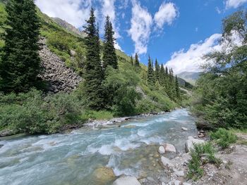 Scenic view of river by trees against sky