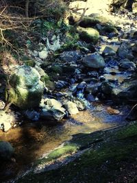 River flowing through rocks