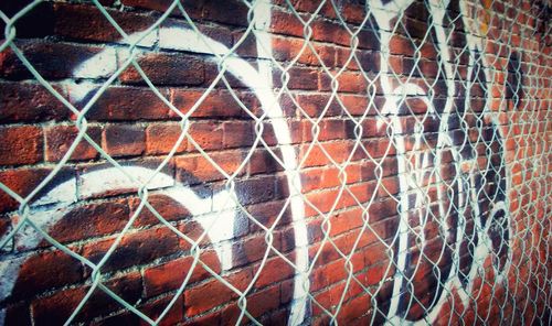 Full frame shot of bird on brick wall