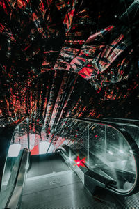 Illuminated red flowers seen through car windshield at night