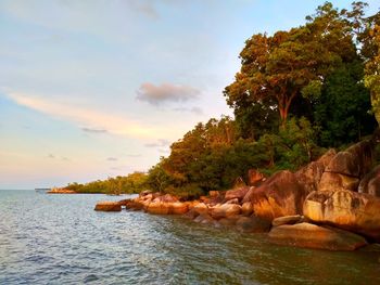 Scenic view of sea against sky during sunset