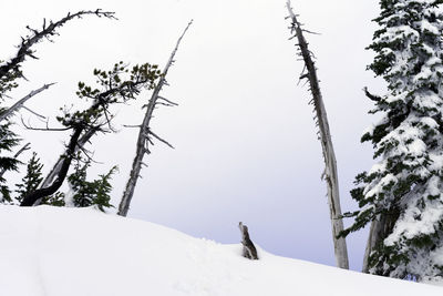 Snow covered landscape against sky