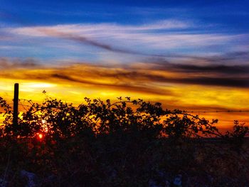 Silhouette trees on landscape against dramatic sky