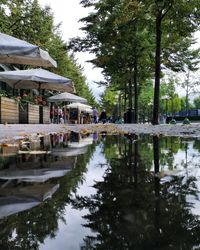 Reflection of trees and buildings in lake