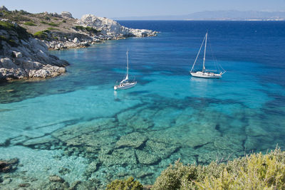 Sailboats sailing in sea