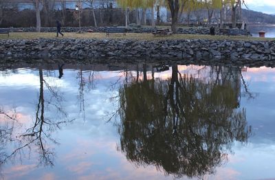 Reflection of trees in lake against sky