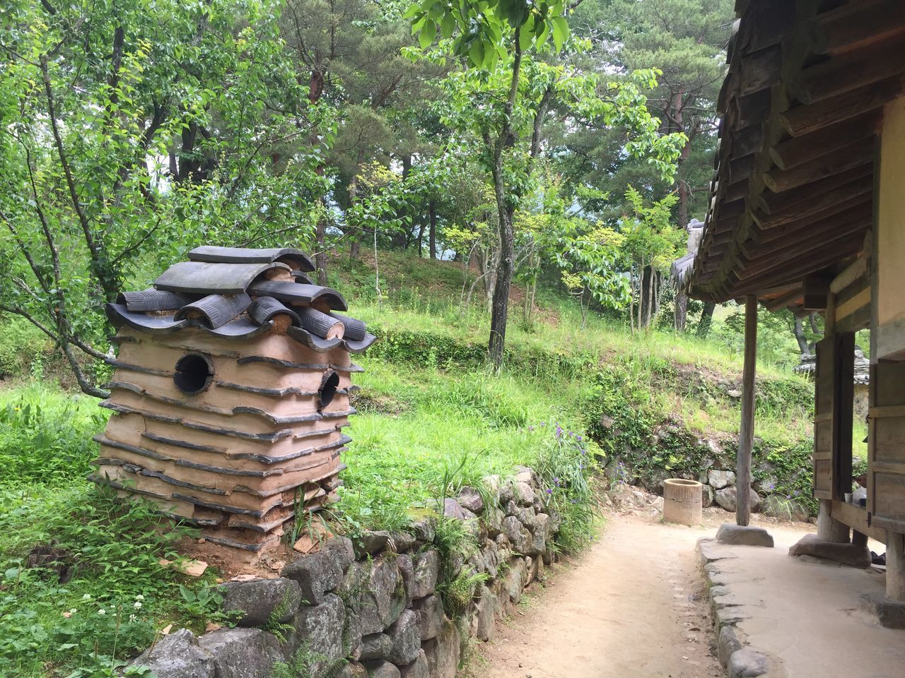 STONE WALL IN FOREST