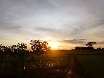 Scenic view of field against sky during sunset