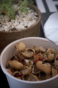 Close-up of food