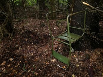 Empty seats in the forest