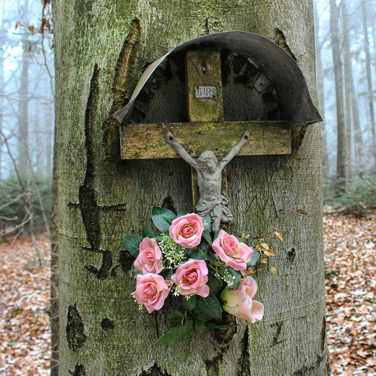 growth, old, flower, plant, close-up, tree, day, field, outdoors, wall - building feature, abandoned, no people, text, red, nature, rusty, communication, wood - material, tree trunk, weathered