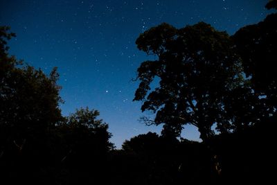 Low angle view of stars in sky