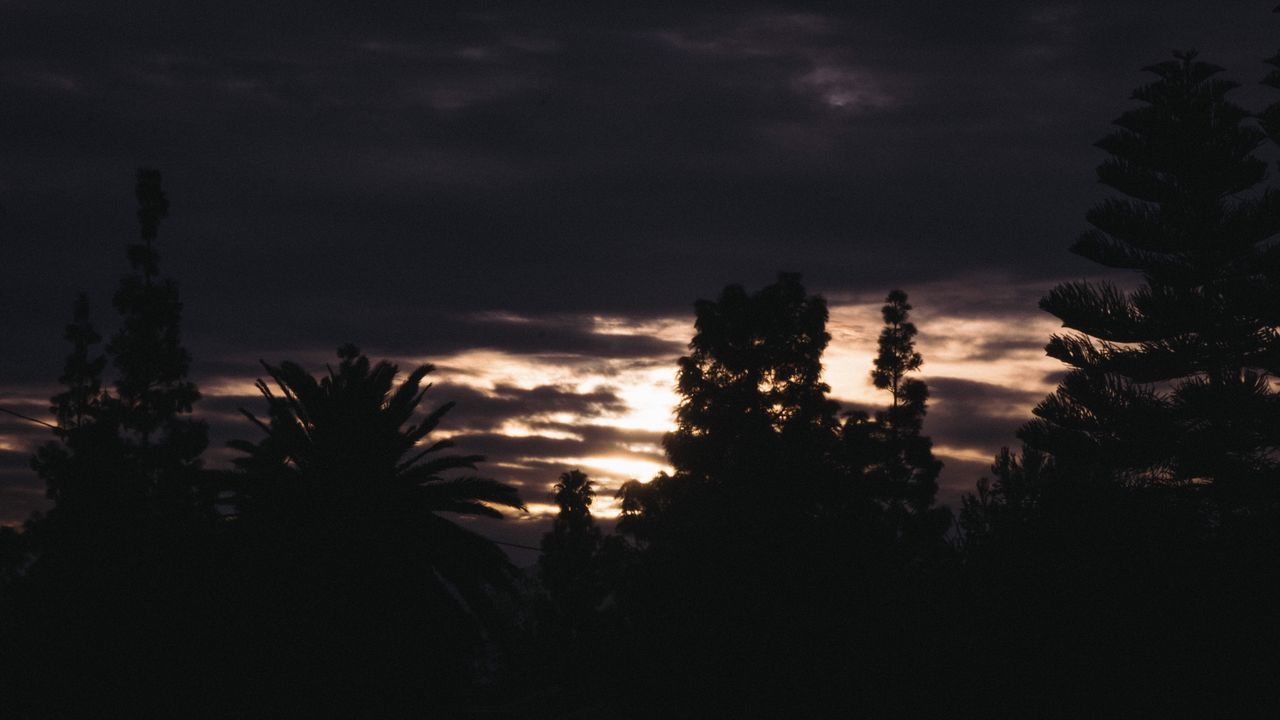 sky, sunset, tree, no people, nature, silhouette, scenics, outdoors, beauty in nature, palm tree, night