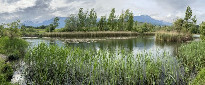 Scenic view of lake against sky