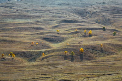 Autumn in the caucasus mountains.