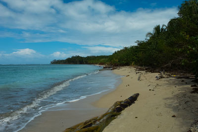 Scenic view of beach against cloudy sky