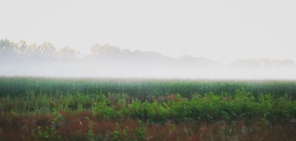 Scenic view of field against cloudy sky