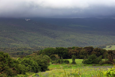 Scenic view of landscape against sky