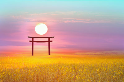 Scenic view of field against sky during sunset