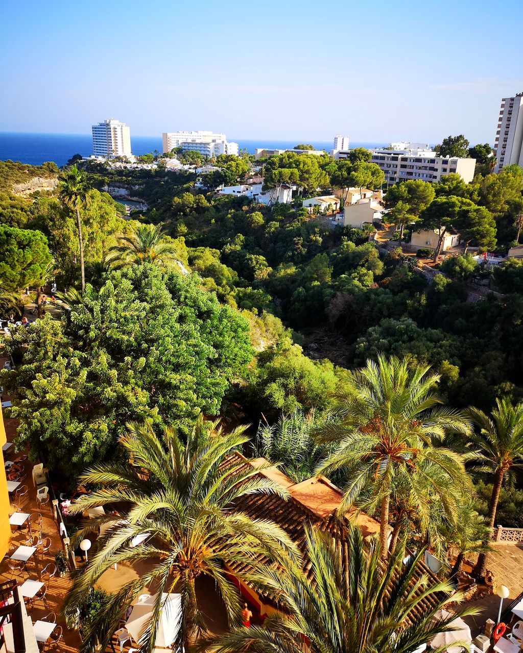 HIGH ANGLE VIEW OF PALM TREES AND BUILDINGS IN CITY