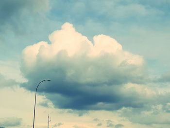 Low angle view of bird against sky