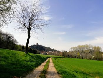 Road amidst trees on field against sky