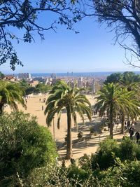 High angle view of palm trees in city