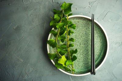 High angle view of leaves in bowl on table