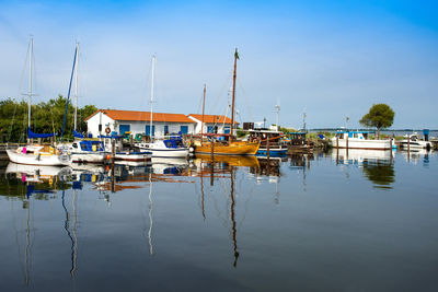 Sailboats moored in marina