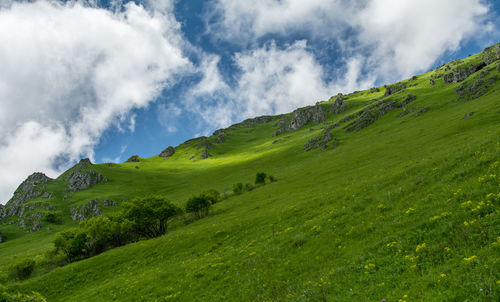 Scenic view of green landscape against sky