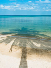 Scenic coconut palm tree silhouette shadow on white sand beach. koh mak island, thailand. minimal.