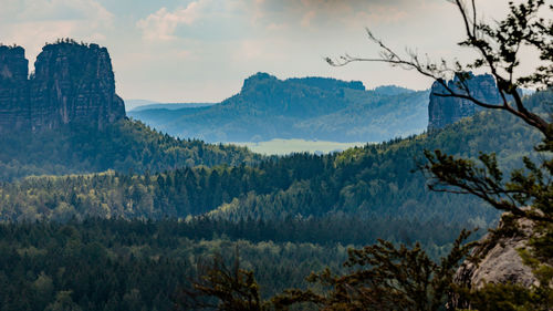 Panoramic view of trees and mountains against sky