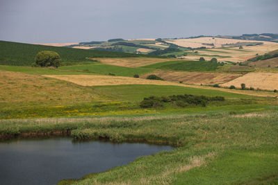 Rural fields and meadows from romania.