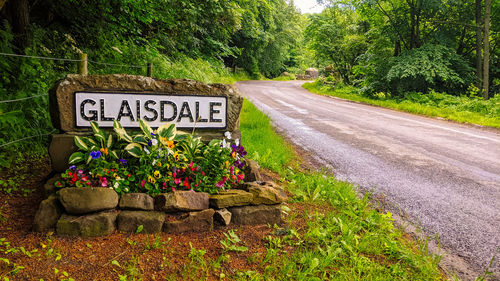 Information sign on road by trees
