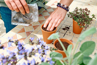 Woman sowing medicinal or aromatic herbs in clay pot on balcony. home planting and food growing. 