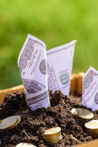 Close-up of paper currencies with coin in mud at yard