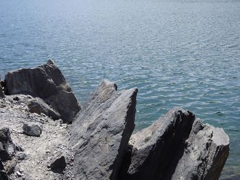 Close-up of rocks in sea