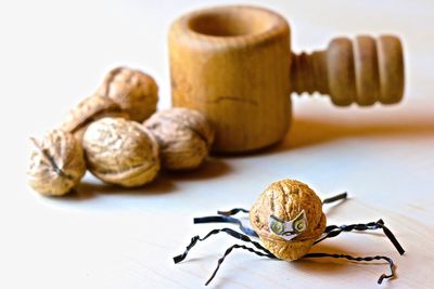 Close-up of insect on table