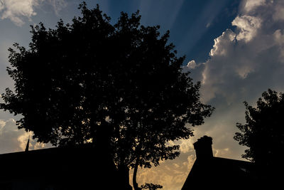 Low angle view of silhouette tree against sky