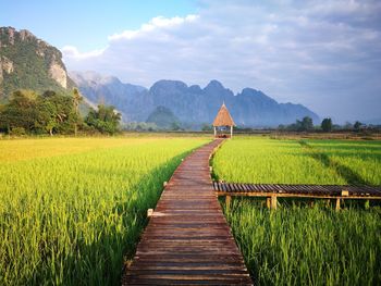 Scenic view of agricultural field against sky