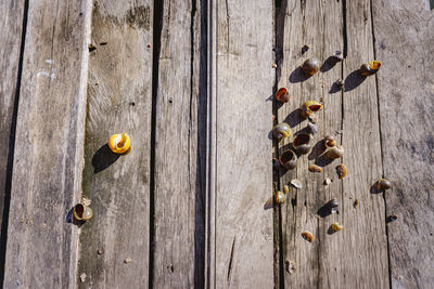 Full frame shot of weathered wooden planks on boardwalk