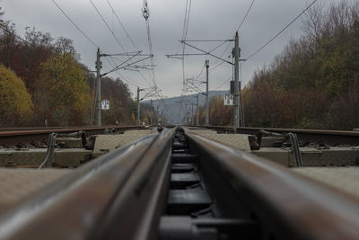 Surface level of railroad tracks against trees