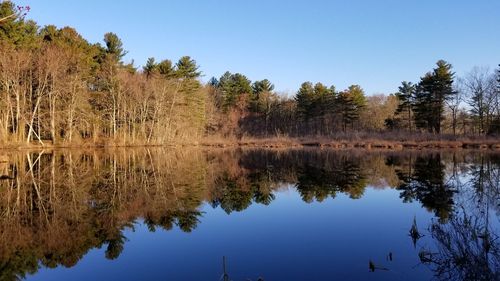 Scenic view of lake against clear blue sky