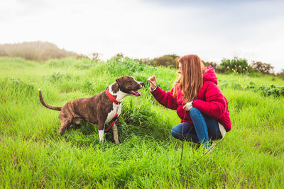 Rear view of woman with dog on field
