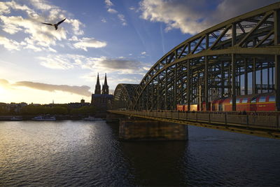 Railway steel bridge cross rhine river and cathedral of cologne in köln, germany before sunset.