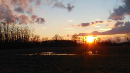 Silhouette trees on field against sky at sunset