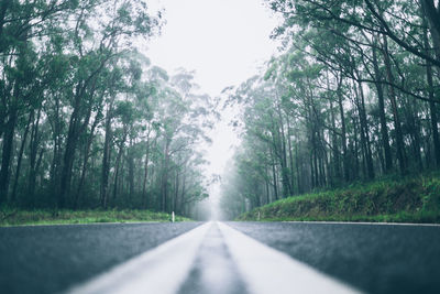 Road amidst trees in forest