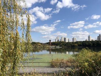 Reflection of trees in lake against cloudy sky