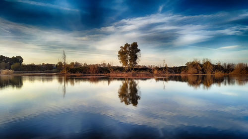 Reflection of trees in water