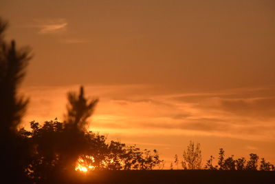 Silhouette trees on field against romantic sky at sunset